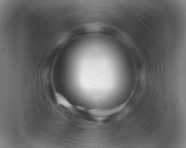 X0000082990364200702011435