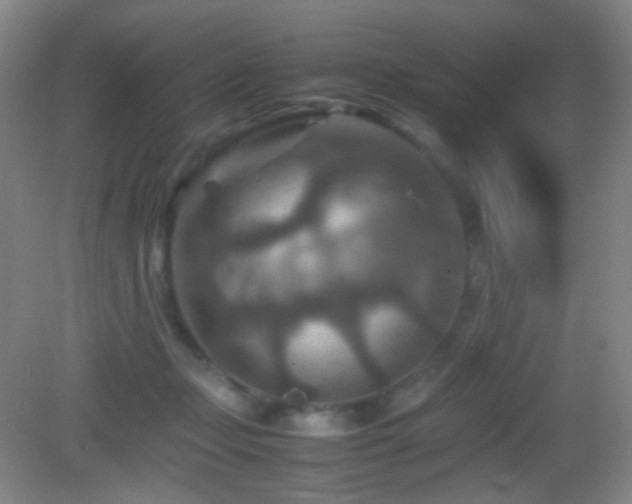 X0000082990365200702011435