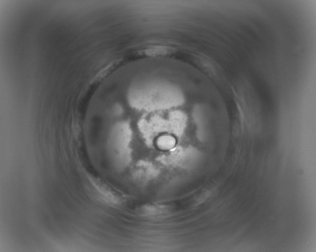 X0000082990367200702011435