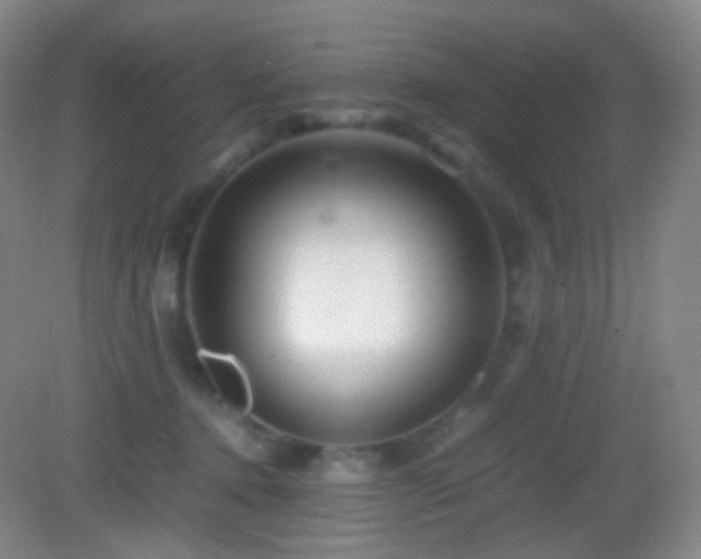 X0000082990368200702011435