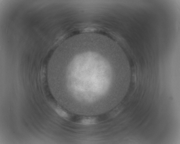 X0000082990369200702011435