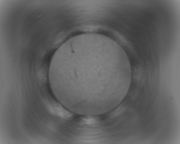 X0000082990370200702011435