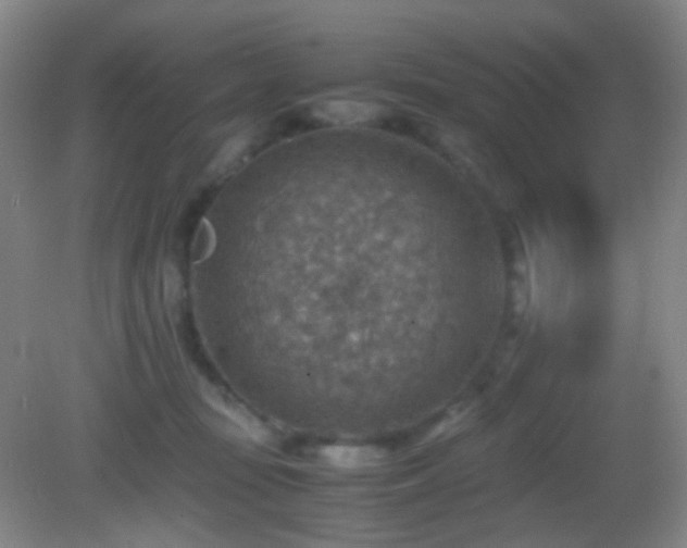 X0000082990371200702011435