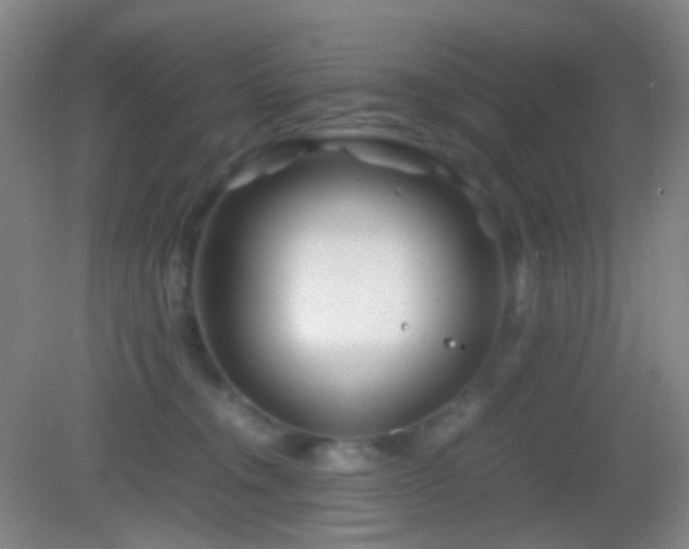 X0000082990372200702011435