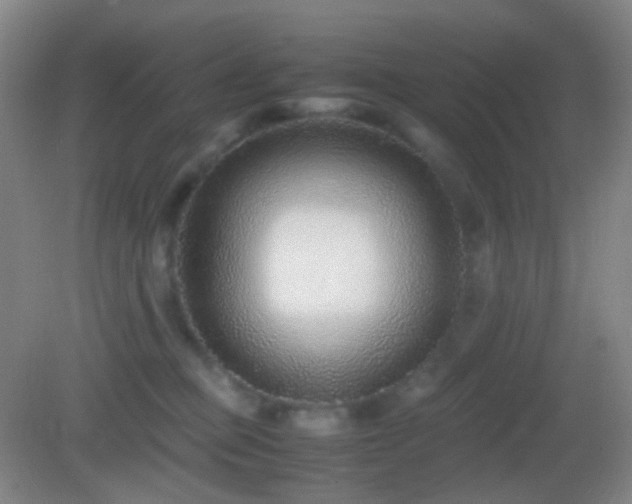 X0000082990373200702011435