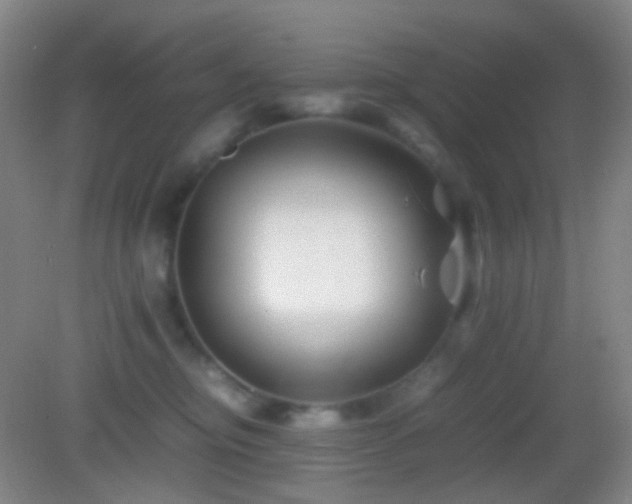 X0000082990374200702011435