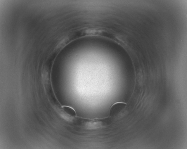 X0000082990375200702011435