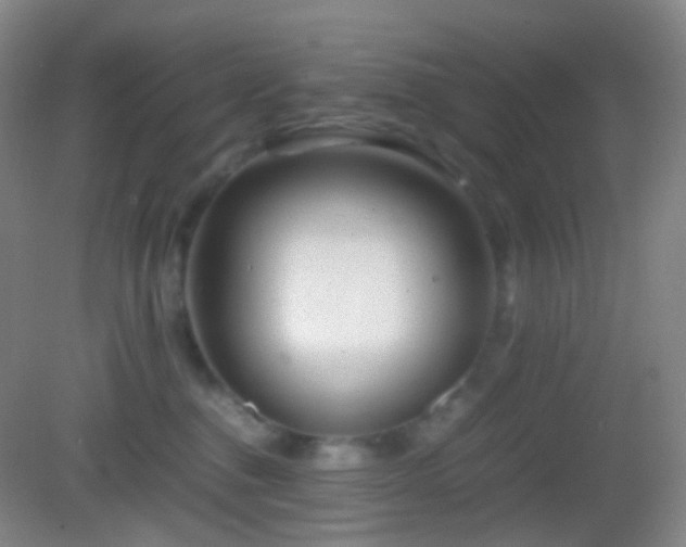 X0000082990376200702011435