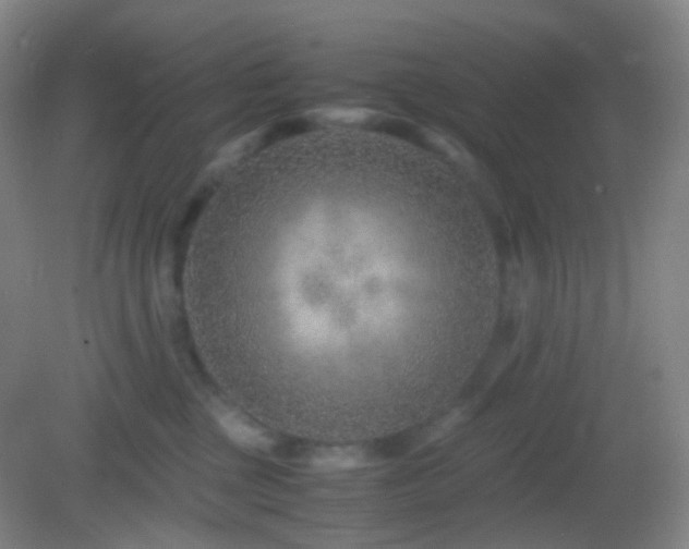 X0000082990377200702011435