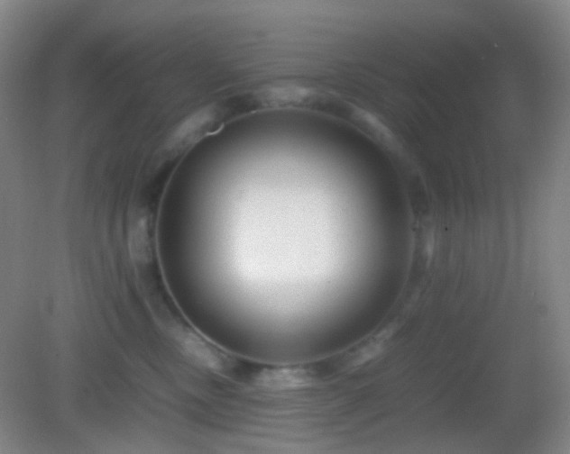 X0000082990378200702011435