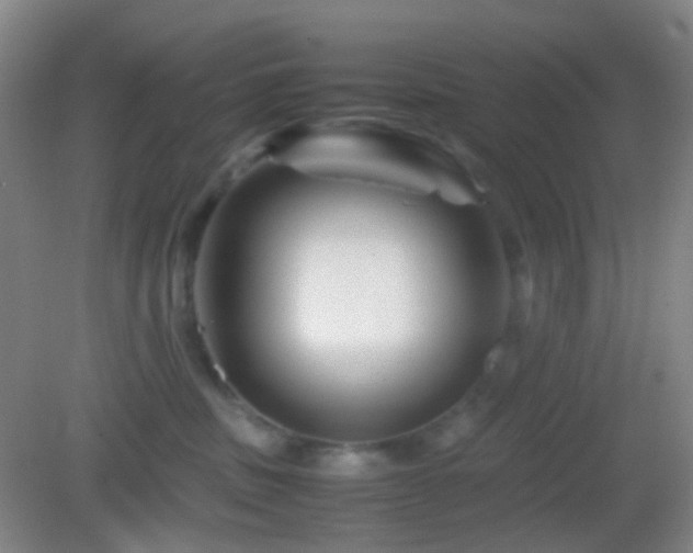 X0000082990379200702011435