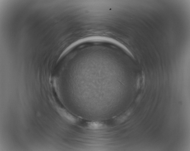 X0000082990380200702011435