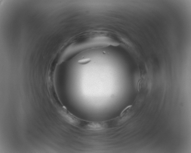 X0000082990381200702011435