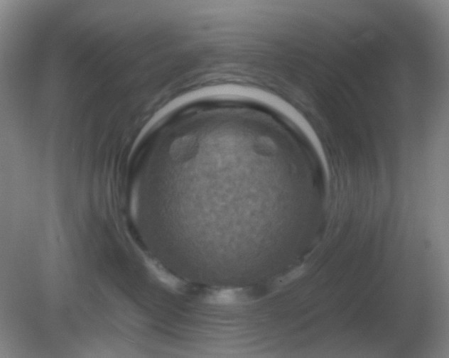 X0000082990382200702011435