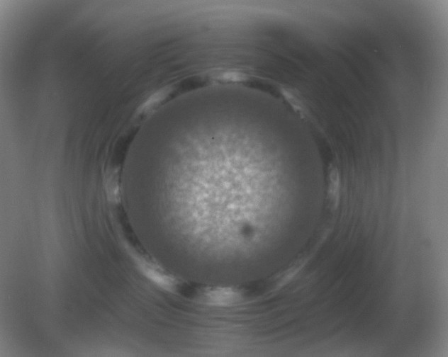 X0000082990383200702011435