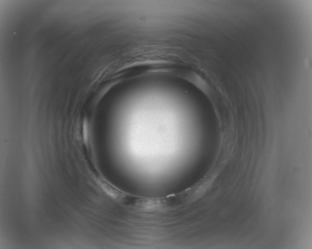 X0000082990384200702011435