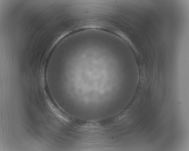 X0000082990386200702011434