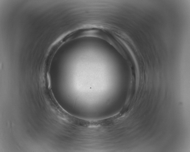 X0000082990388200702011434