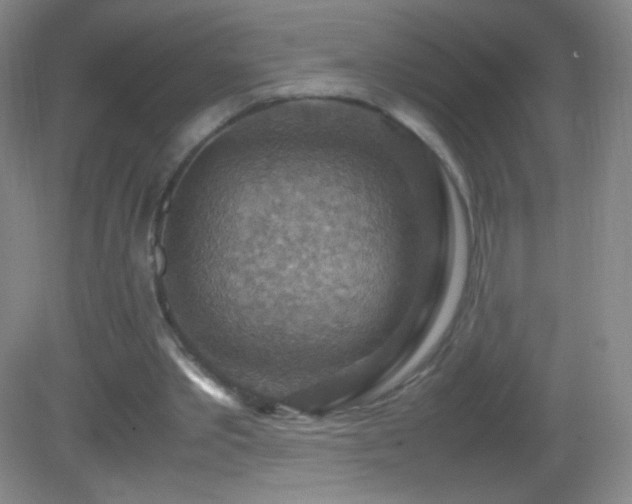 X0000082990389200702011434