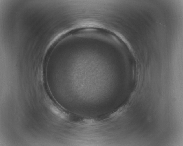 X0000082990391200702011434