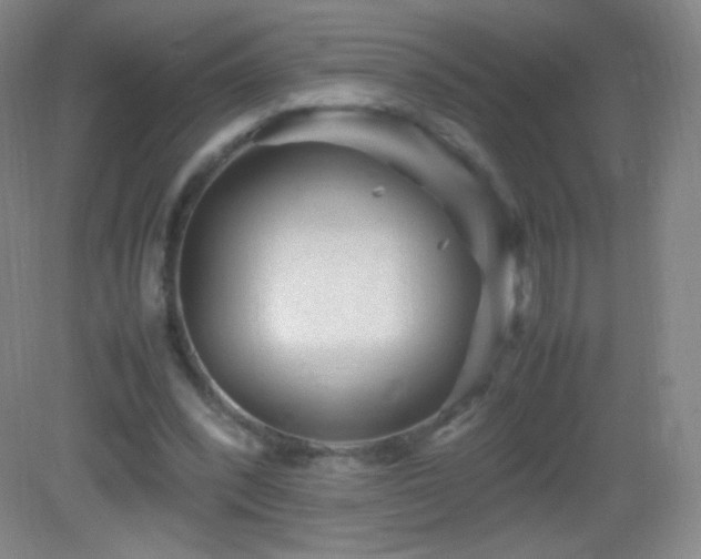 X0000082990392200702011434