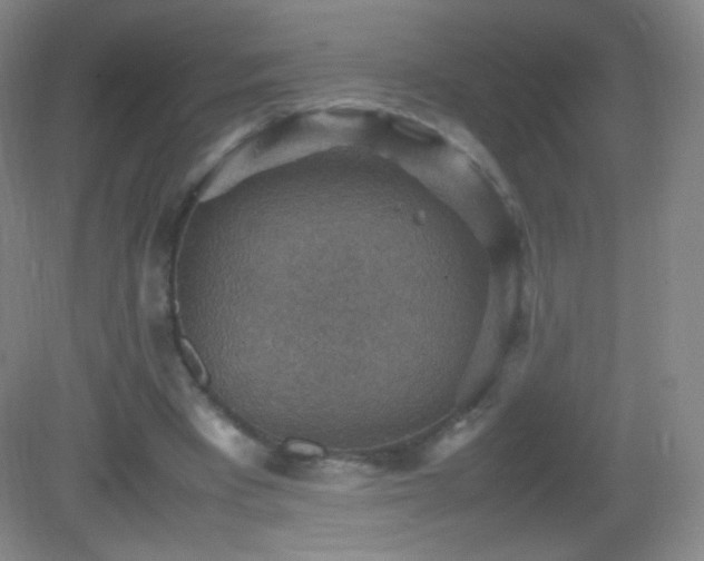 X0000082990393200702011434