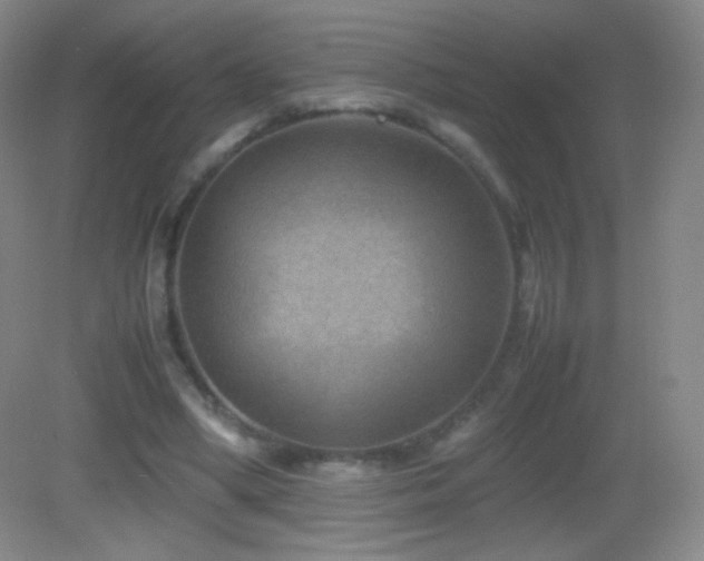 X0000082990394200702011434