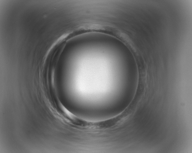 X0000082990395200702011434