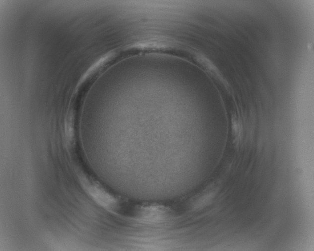 X0000082990396200702011434