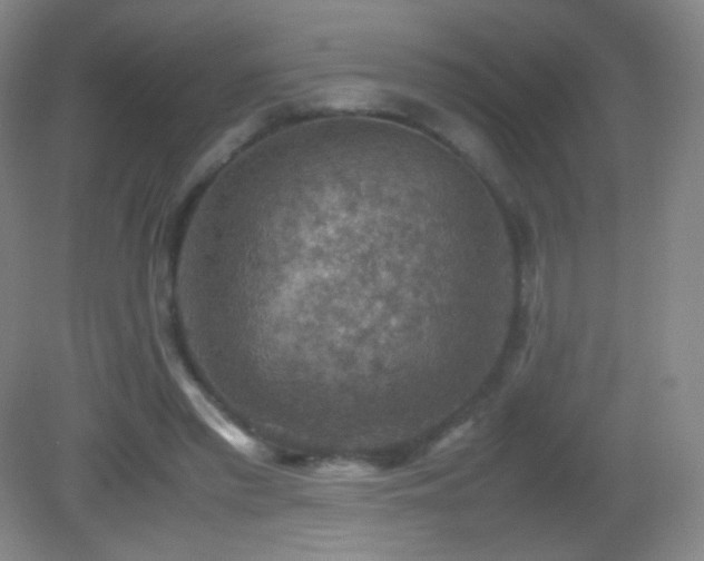 X0000082990397200702011434