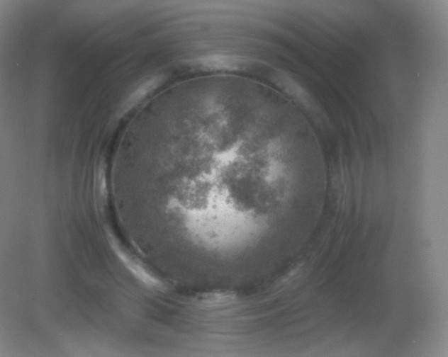 X0000082990398200702011434