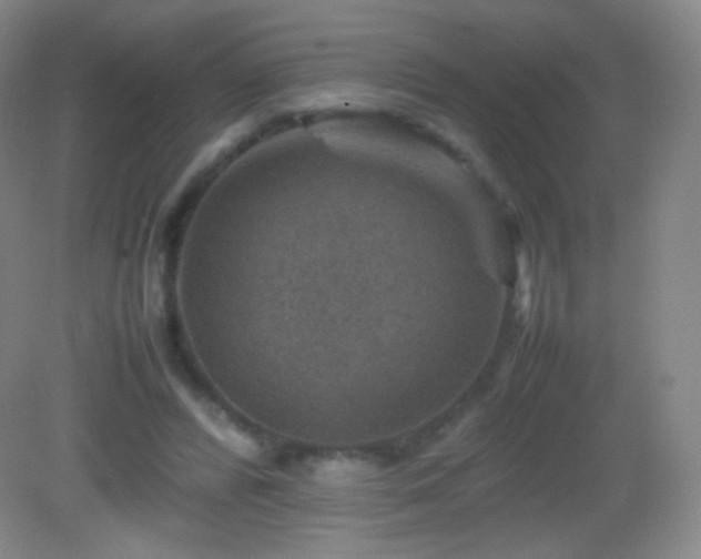 X0000082990400200702011434