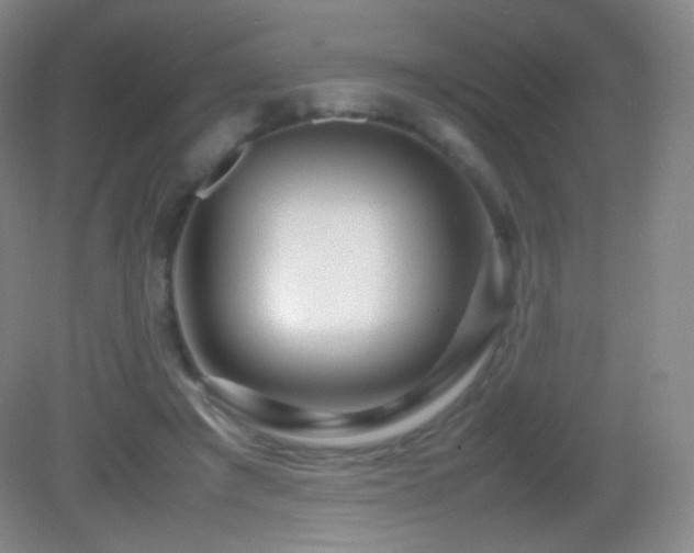 X0000082990401200702011434