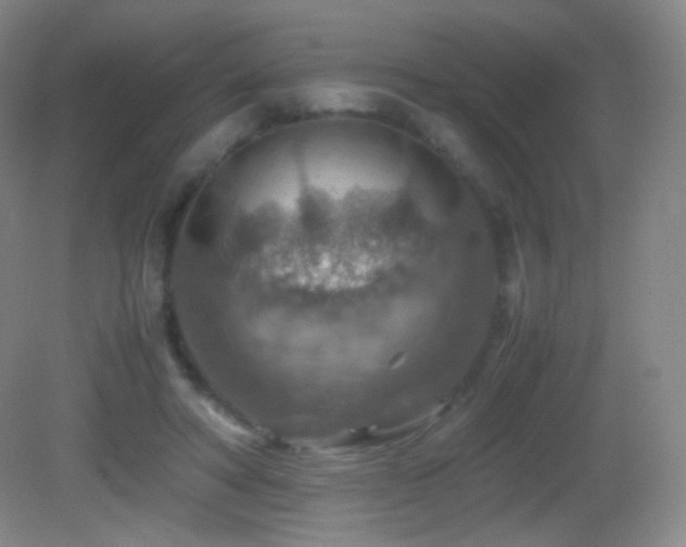 X0000082990402200702011434