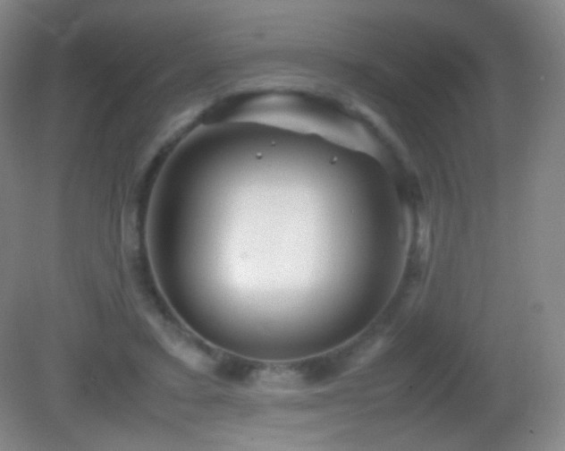 X0000082990403200702011434