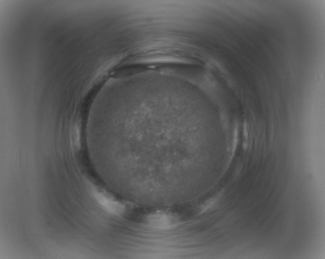 X0000082990404200702011434