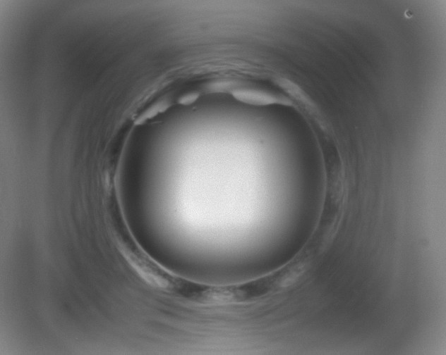 X0000082990405200702011434