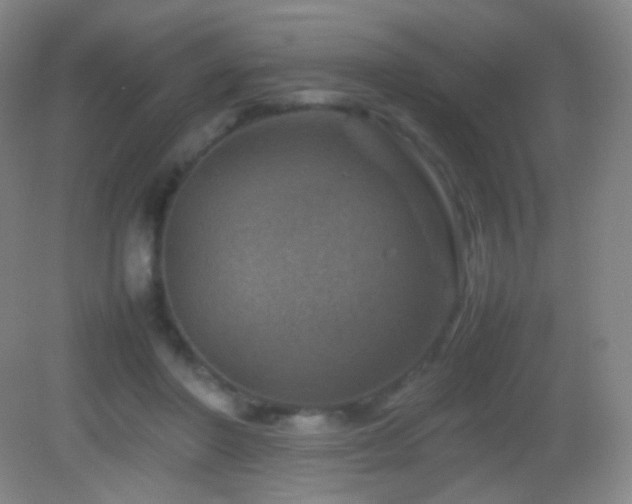 X0000082990406200702011434