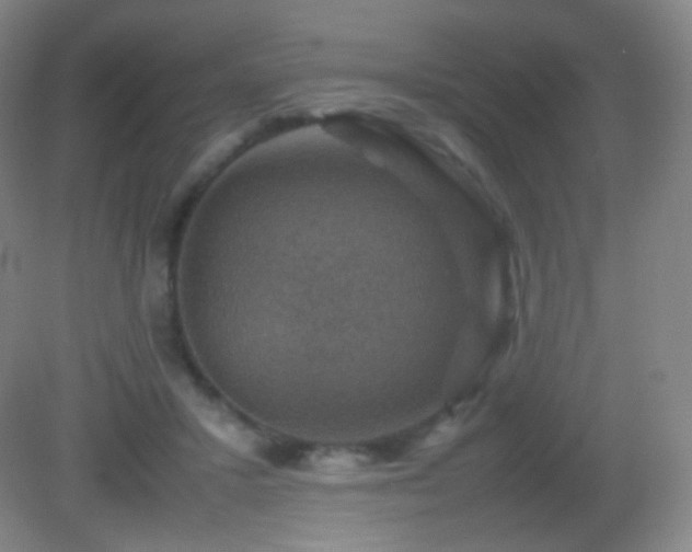 X0000082990407200702011434