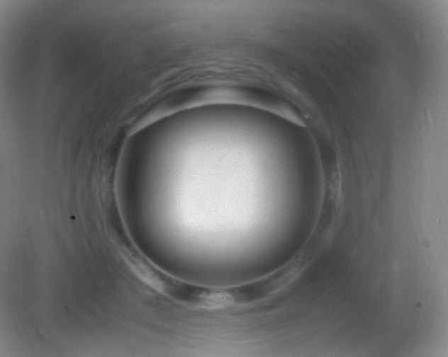 X0000082990409200702011434