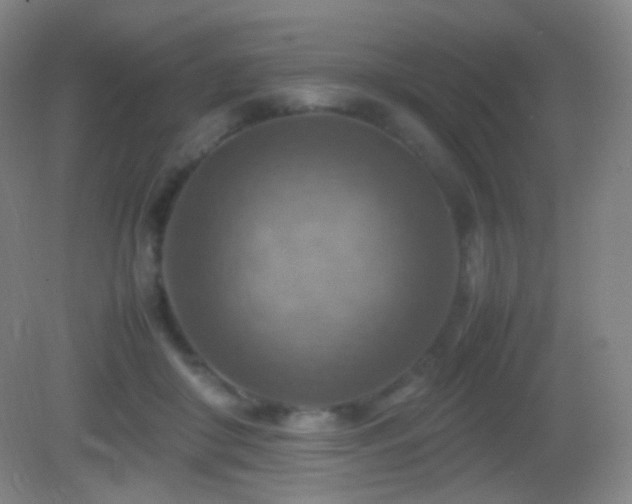 X0000082990410200702011434