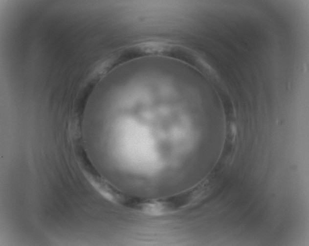 X0000082990411200702011434