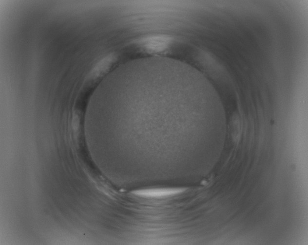 X0000082990412200702011434