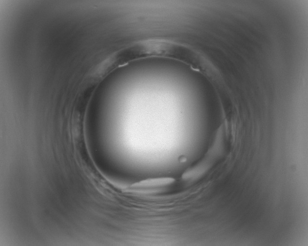 X0000082990413200702011434