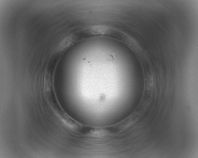 X0000082990414200702011434