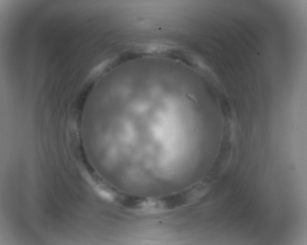 X0000082990415200702011434