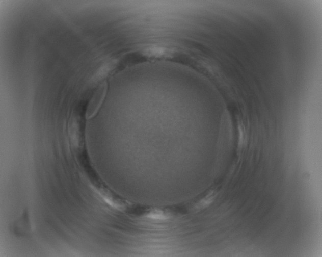 X0000082990416200702011434