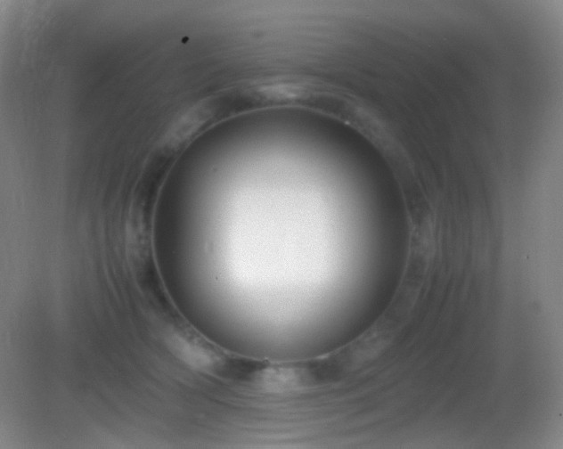 X0000082990418200702011434