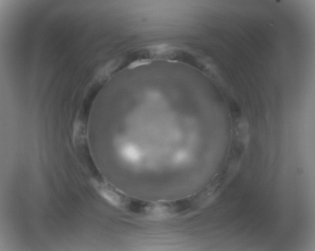 X0000082990419200702011434