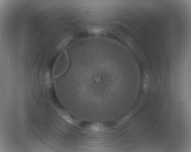 X0000082990420200702011434